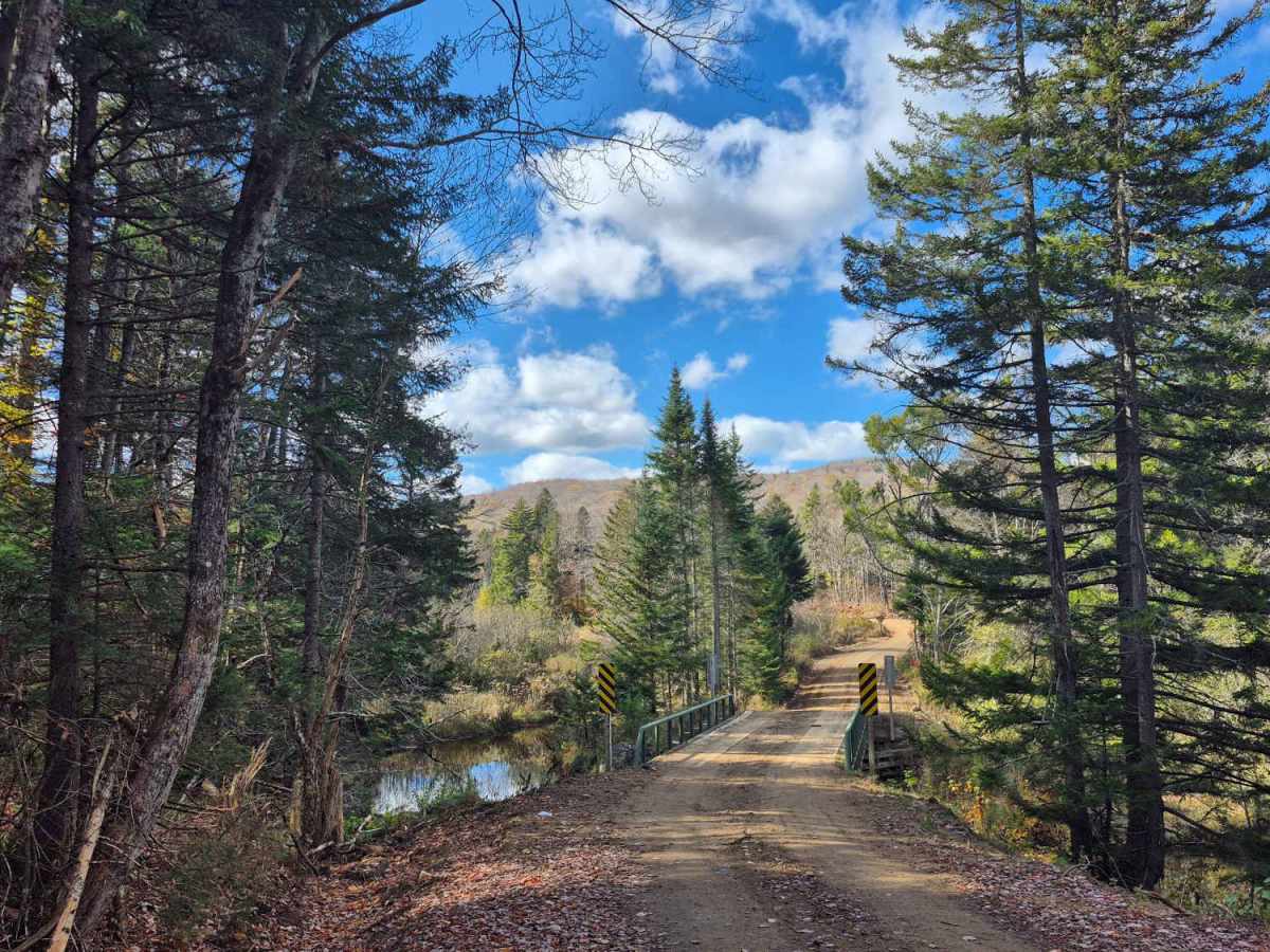 Old Military Road trail photo
