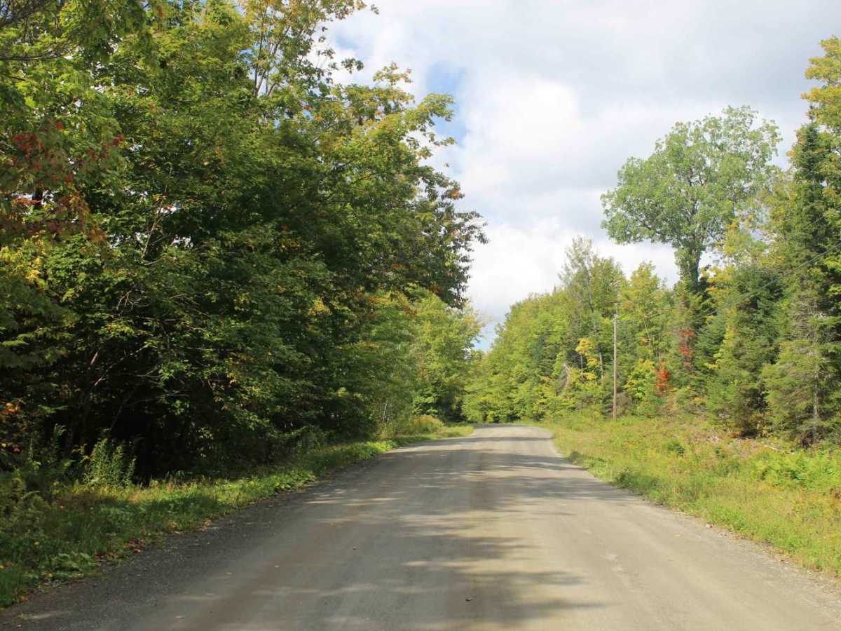 Round Pond Road photo 2