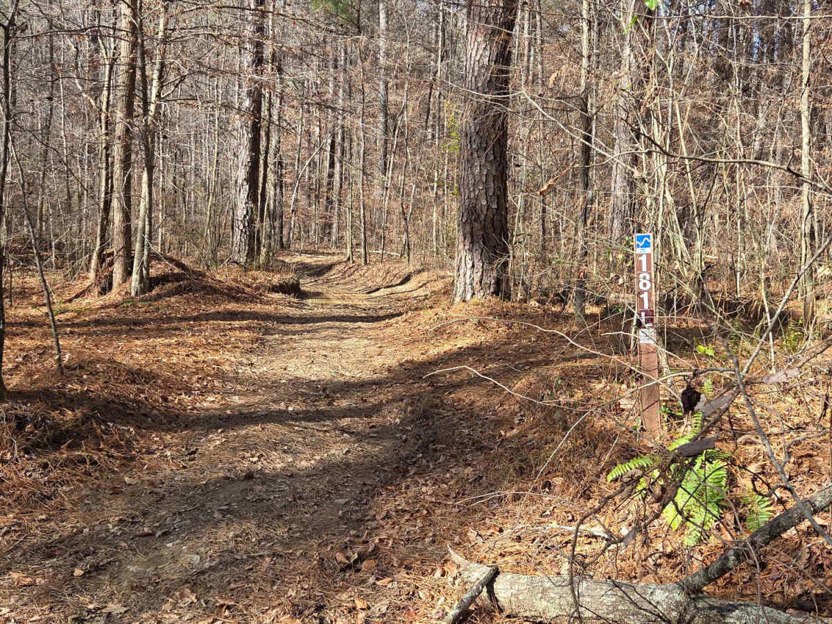 181-L photo 5