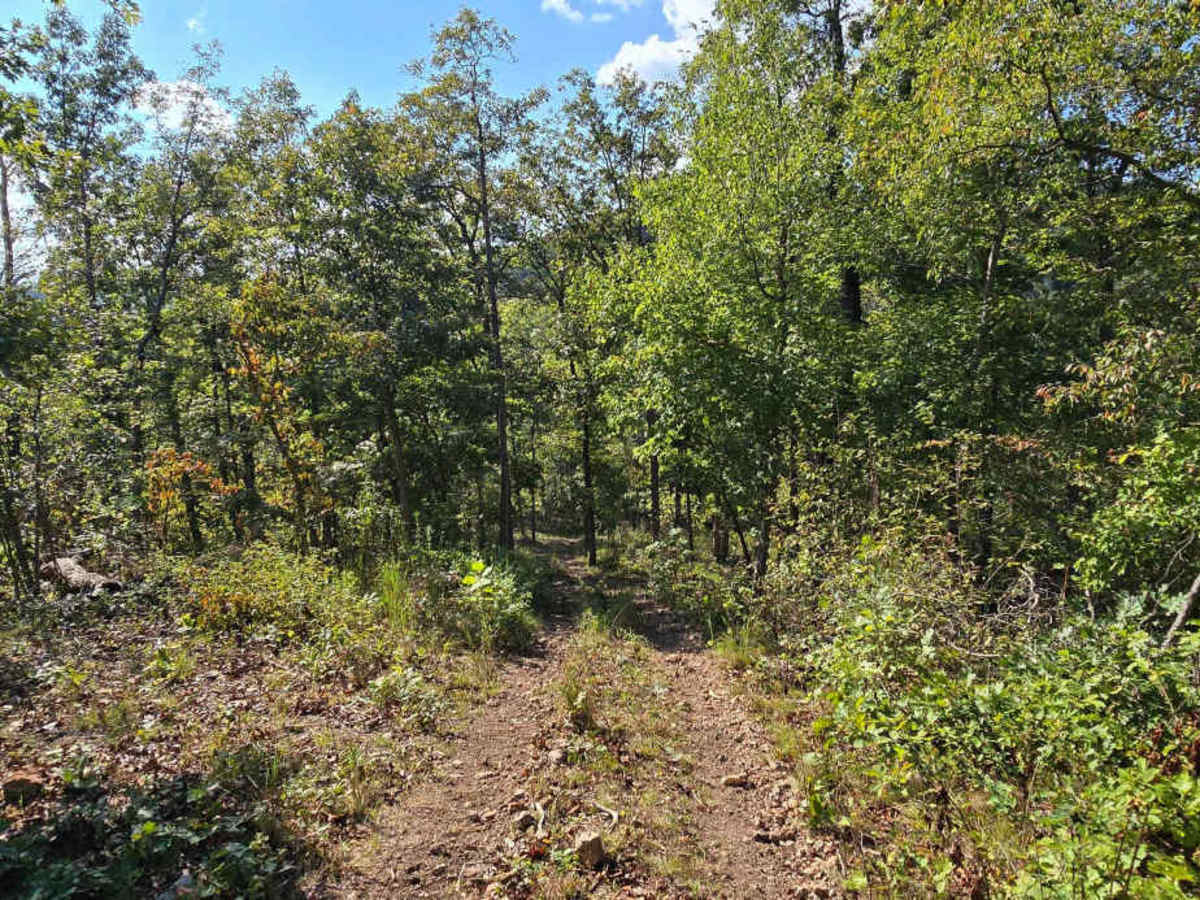 Turkey Ridge photo 6
