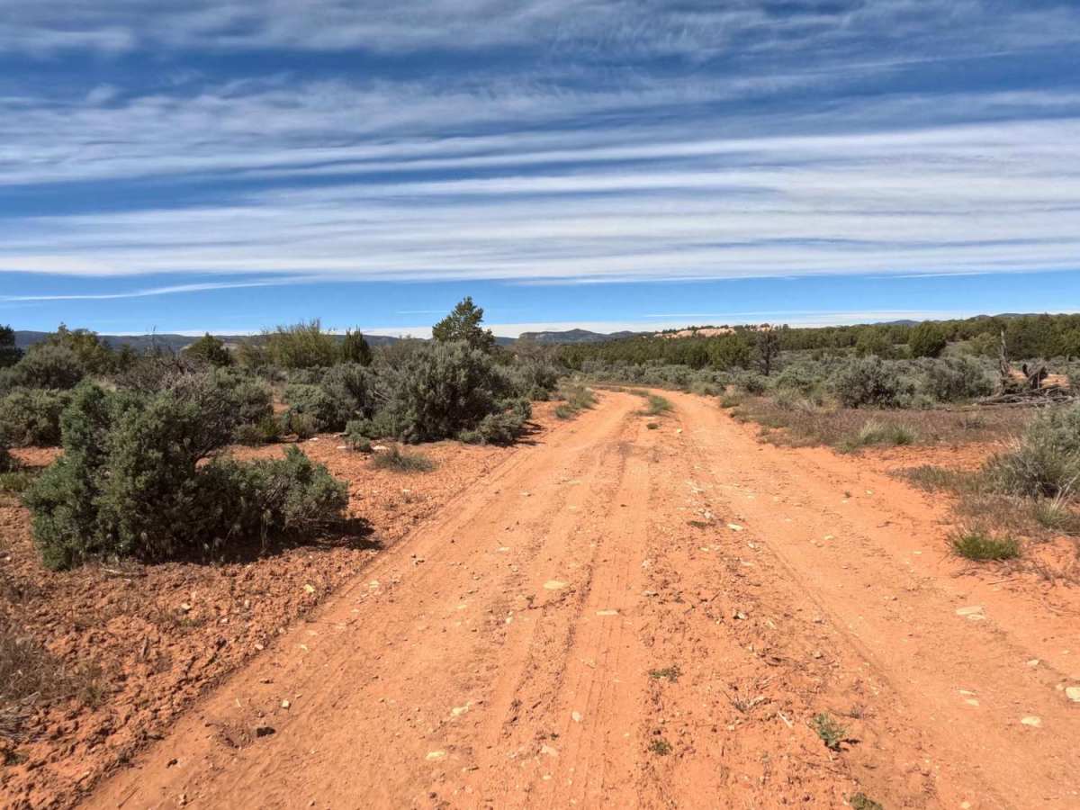 BLM 74  photo 3