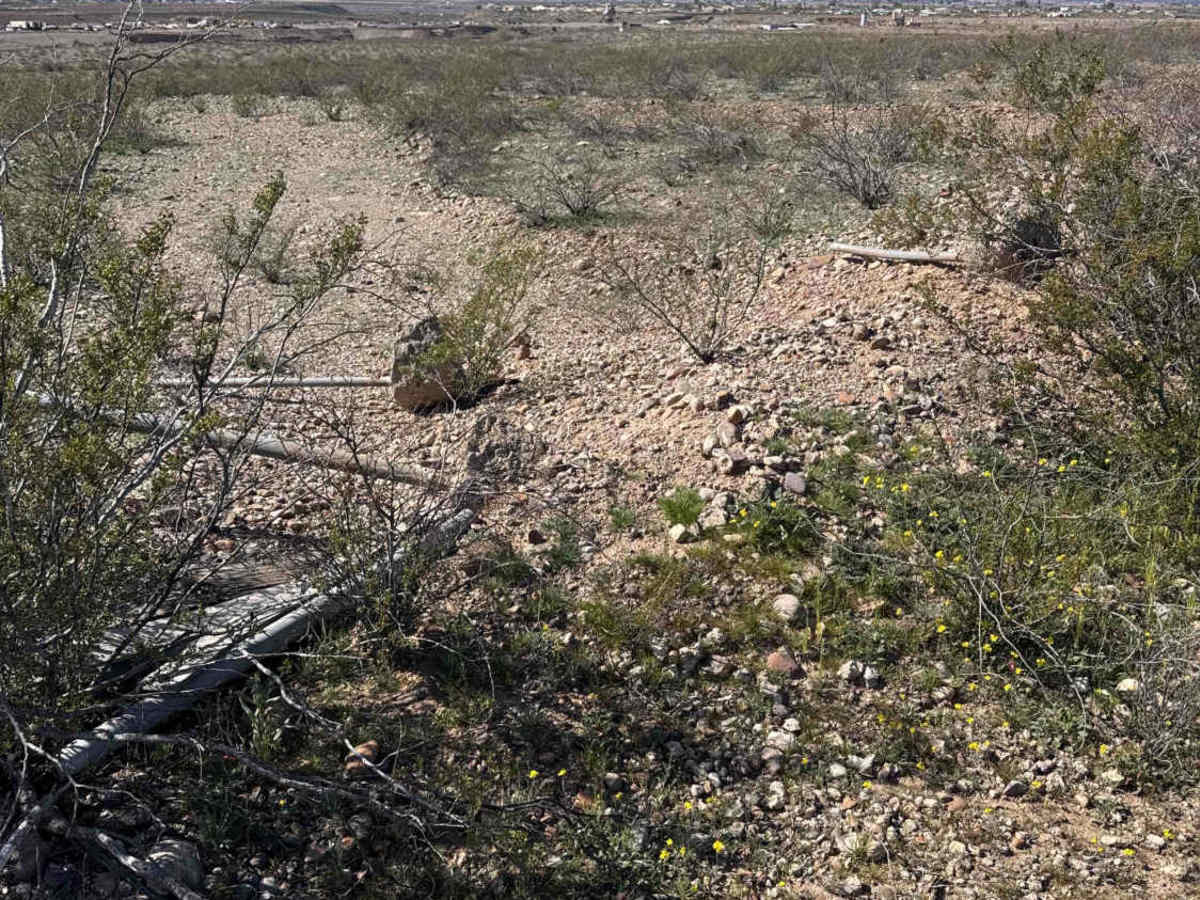 Sa1075 trail photo