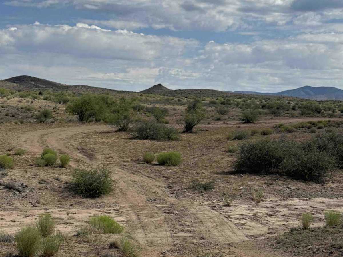 Sandy Gate Wash Trail  photo 4