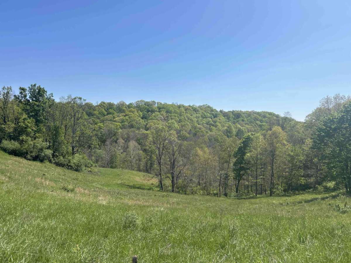 Hopewell Ridge  photo 3