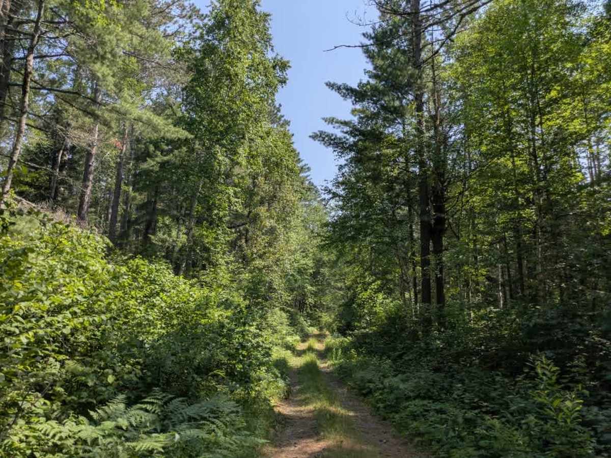 Little Isabella River Spur B trail photo