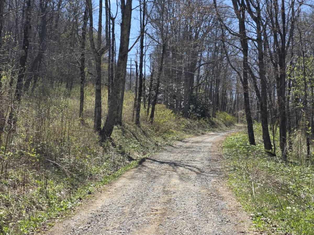 Holston Mountain Trail photo 6
