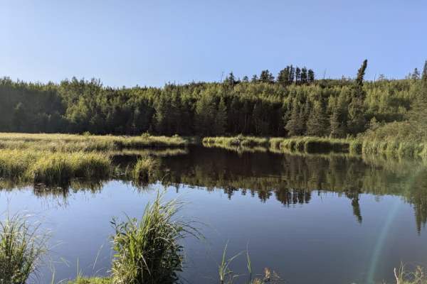 Gunflint Narrows