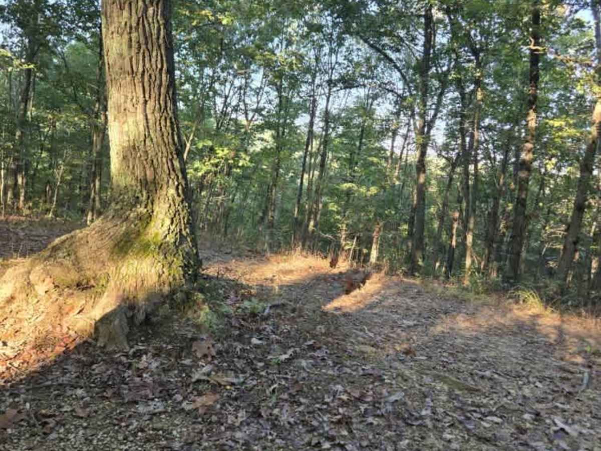 Real Ridge Road trail photo