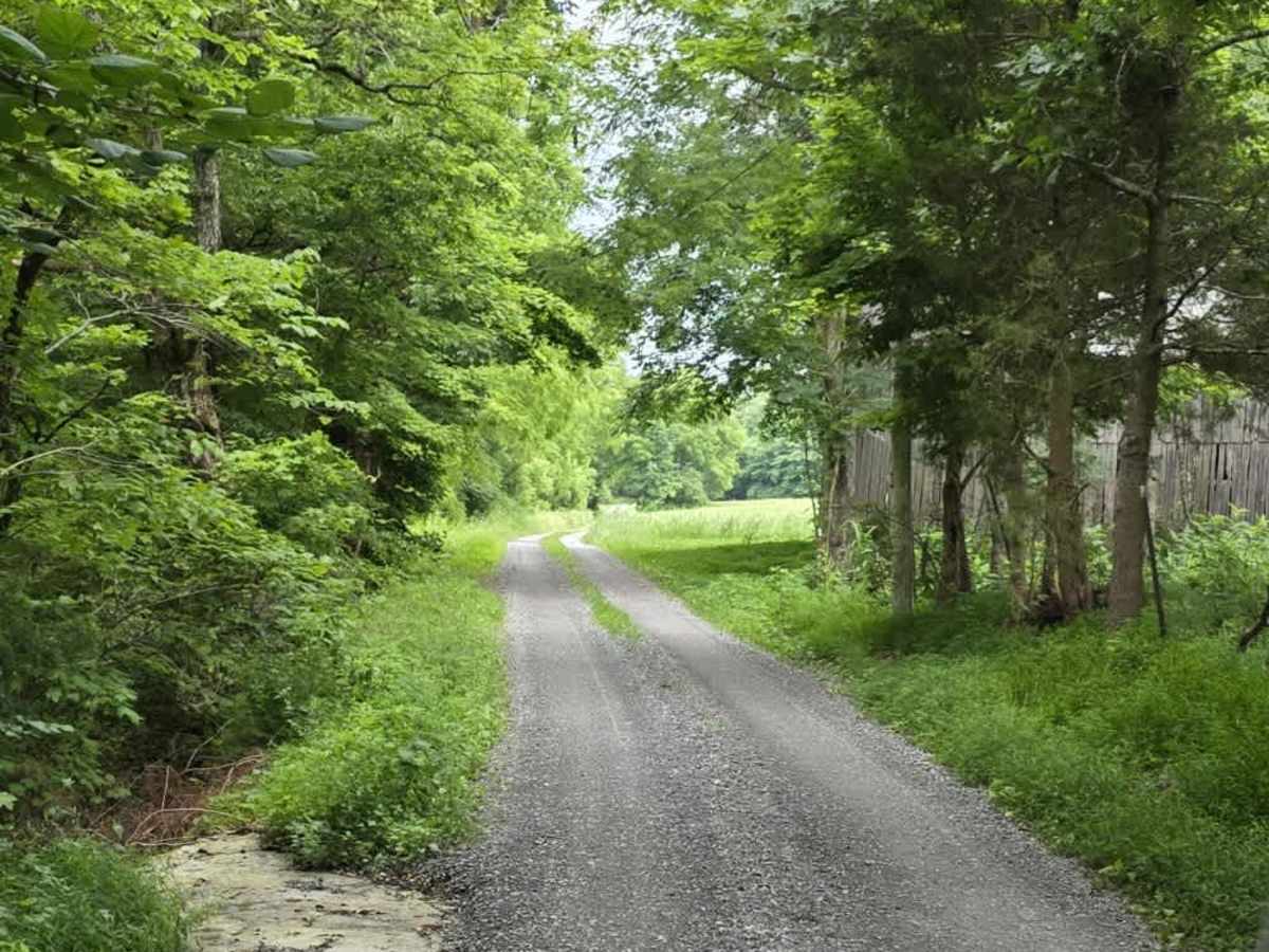 Wix Hollow Road - Macon County Tour photo 2