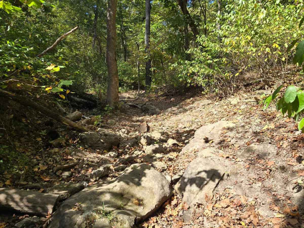 Trail Mix trail photo