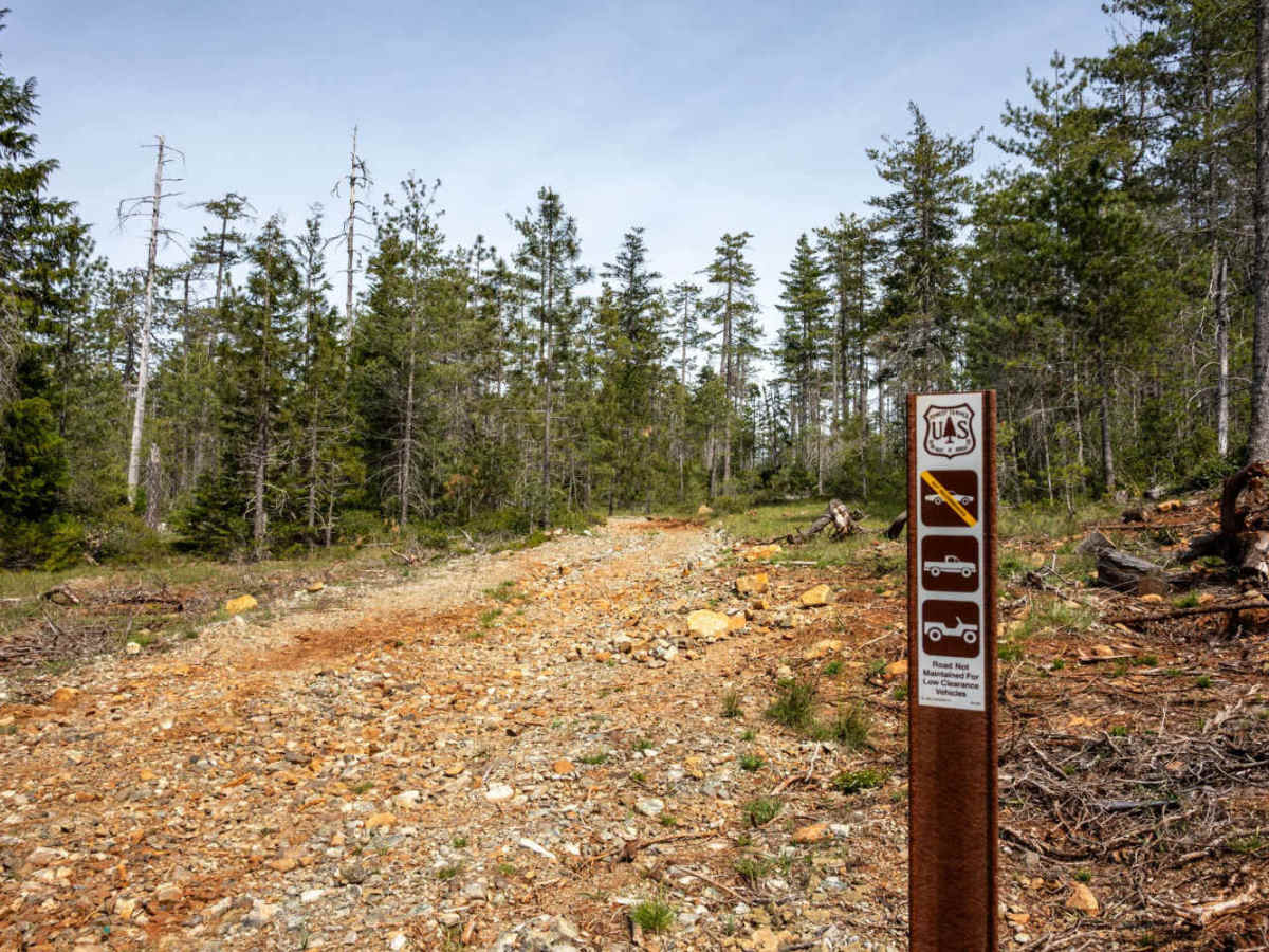 Angela Mine trail photo