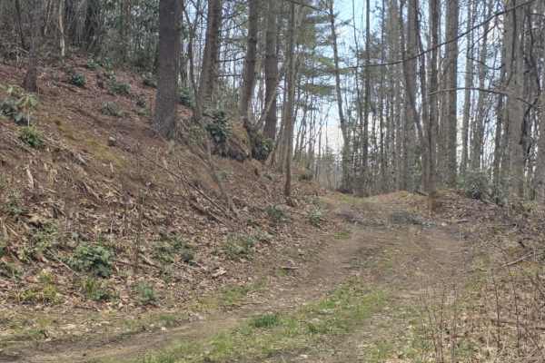 Wheeler Spur