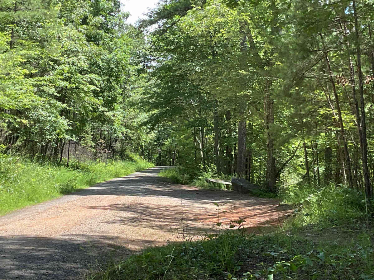 Beech Creek Road - FS 307 photo 2
