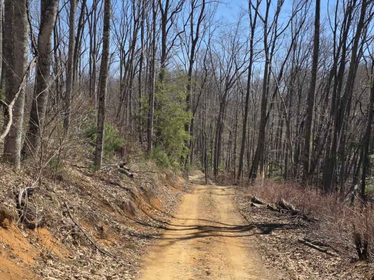 Cedar Gap photo 4