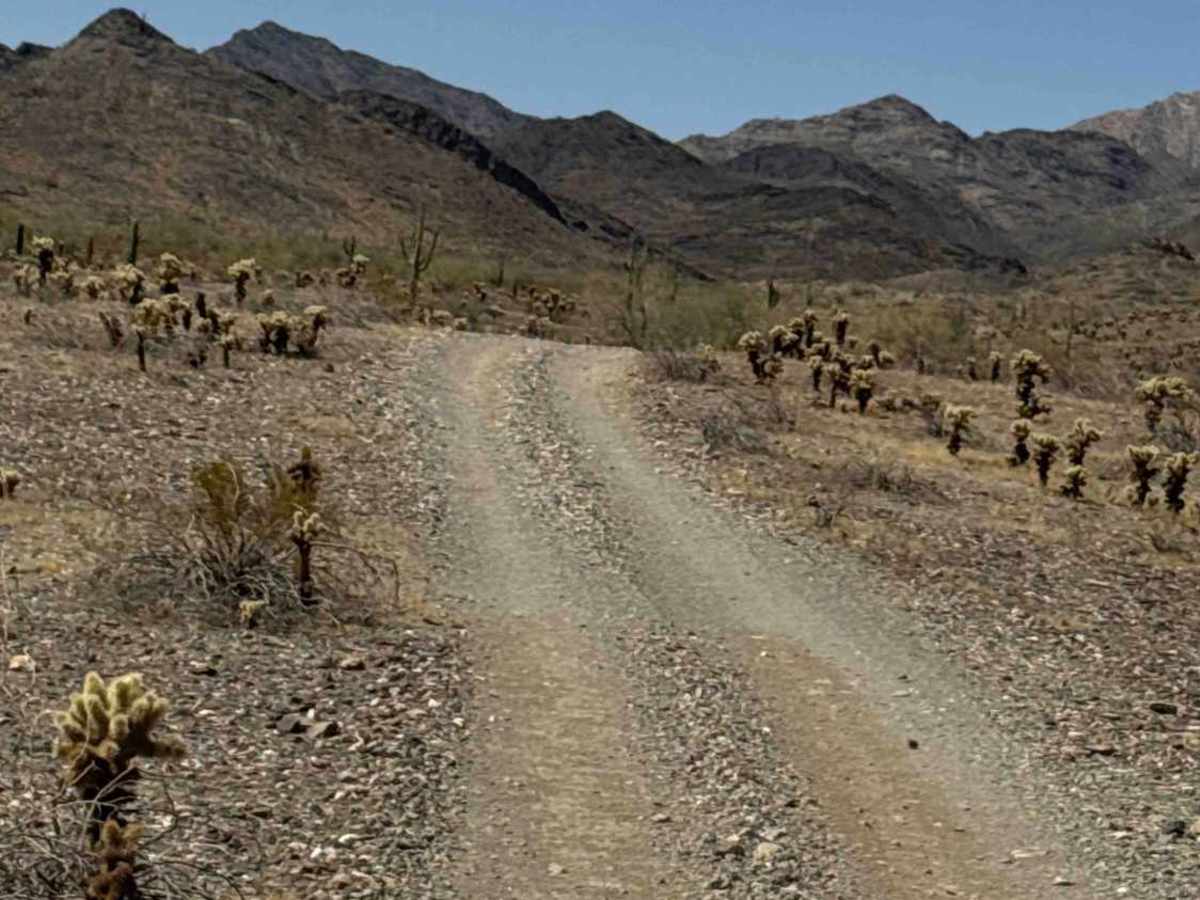 Desert Crossroads photo 4