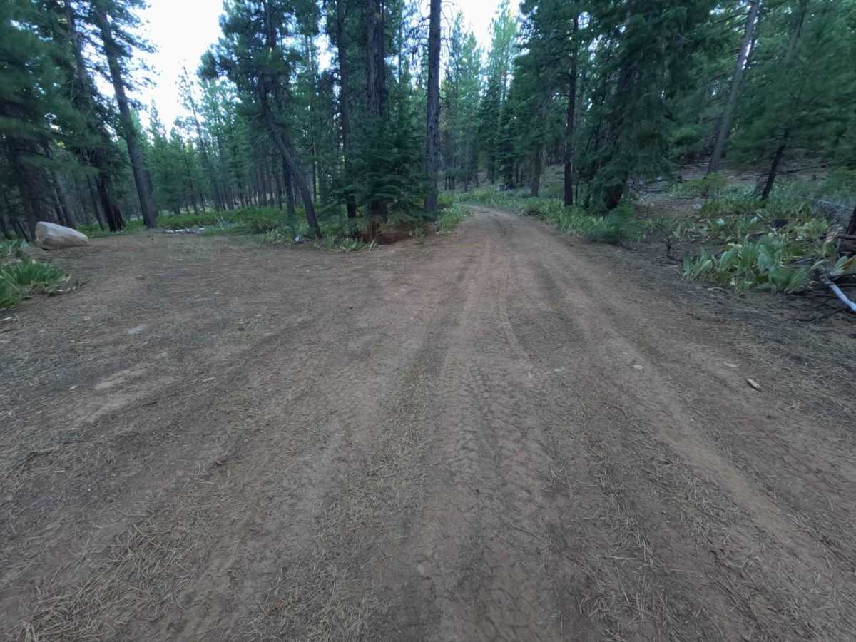 Wheeler Tie Spur - FS 0450-005-15-05 trail photo
