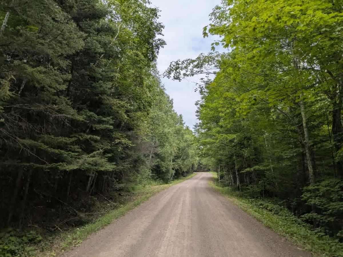 Sugarloaf Road photo 6