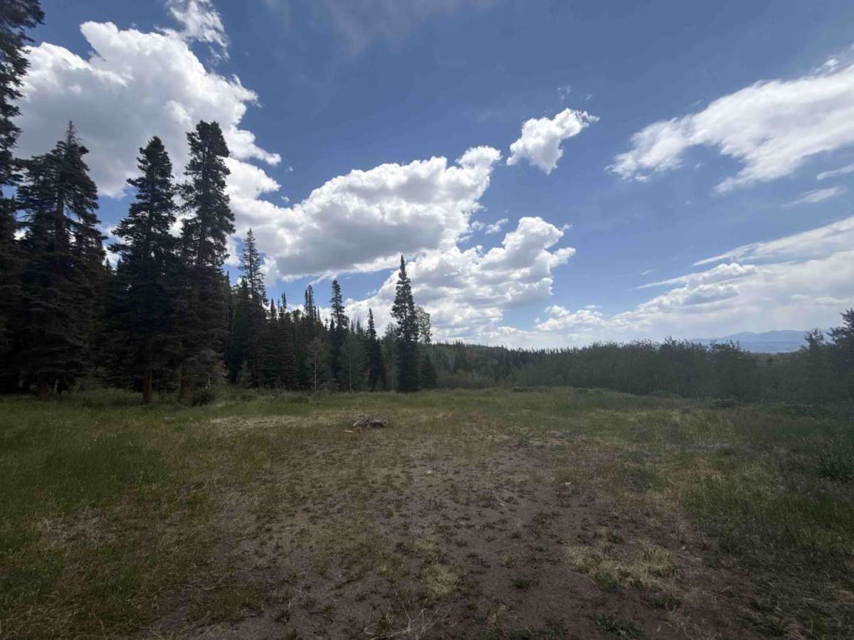 Grouse Mountain FAA Site - FS 262.1 photo 4