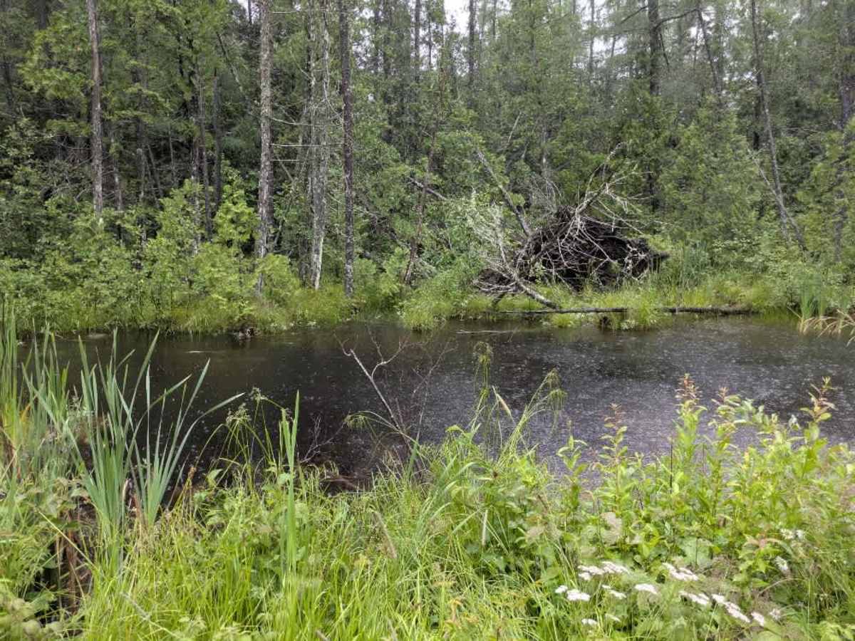 Tait Lake photo 2