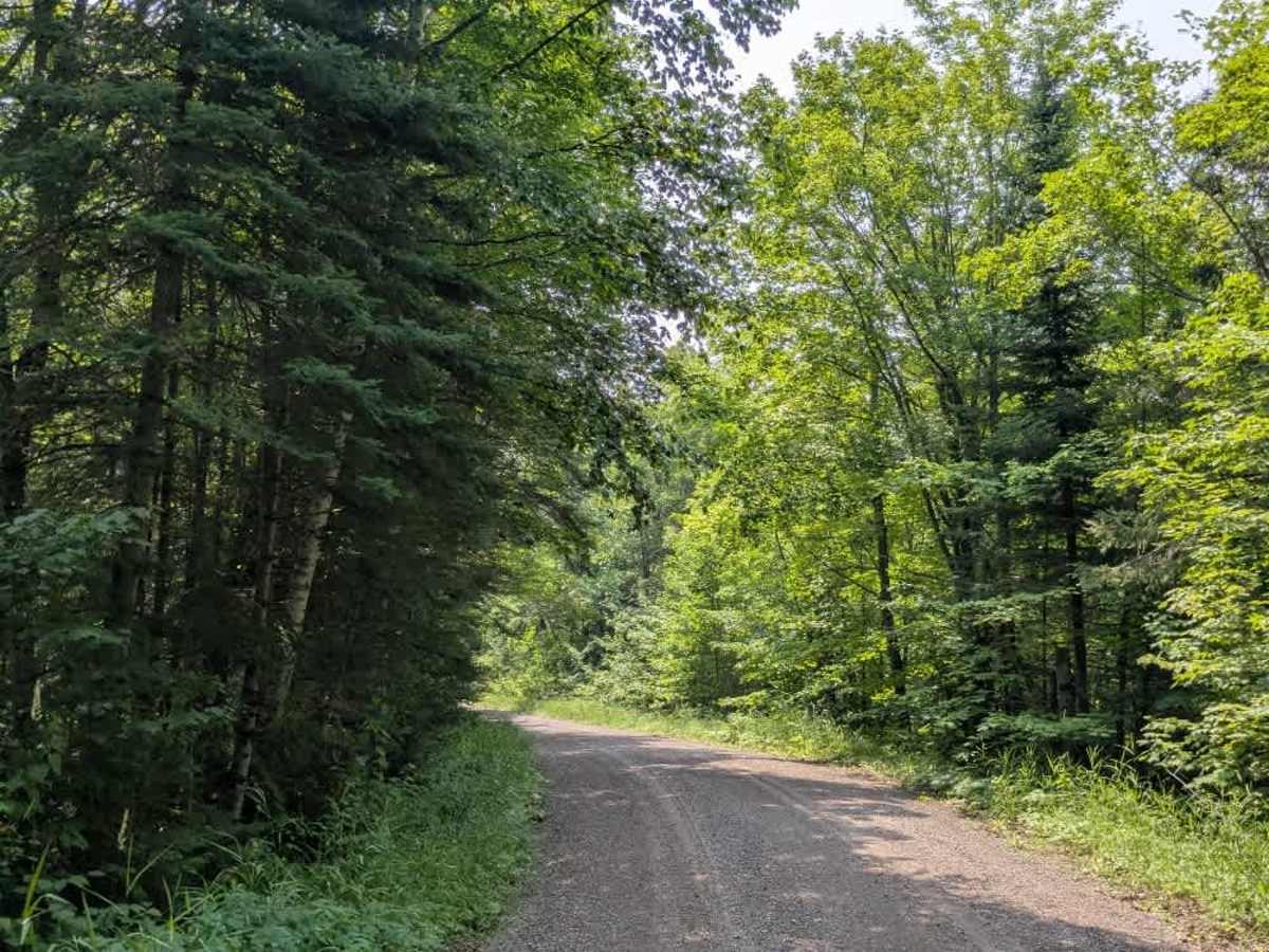 Onion River Road photo 3
