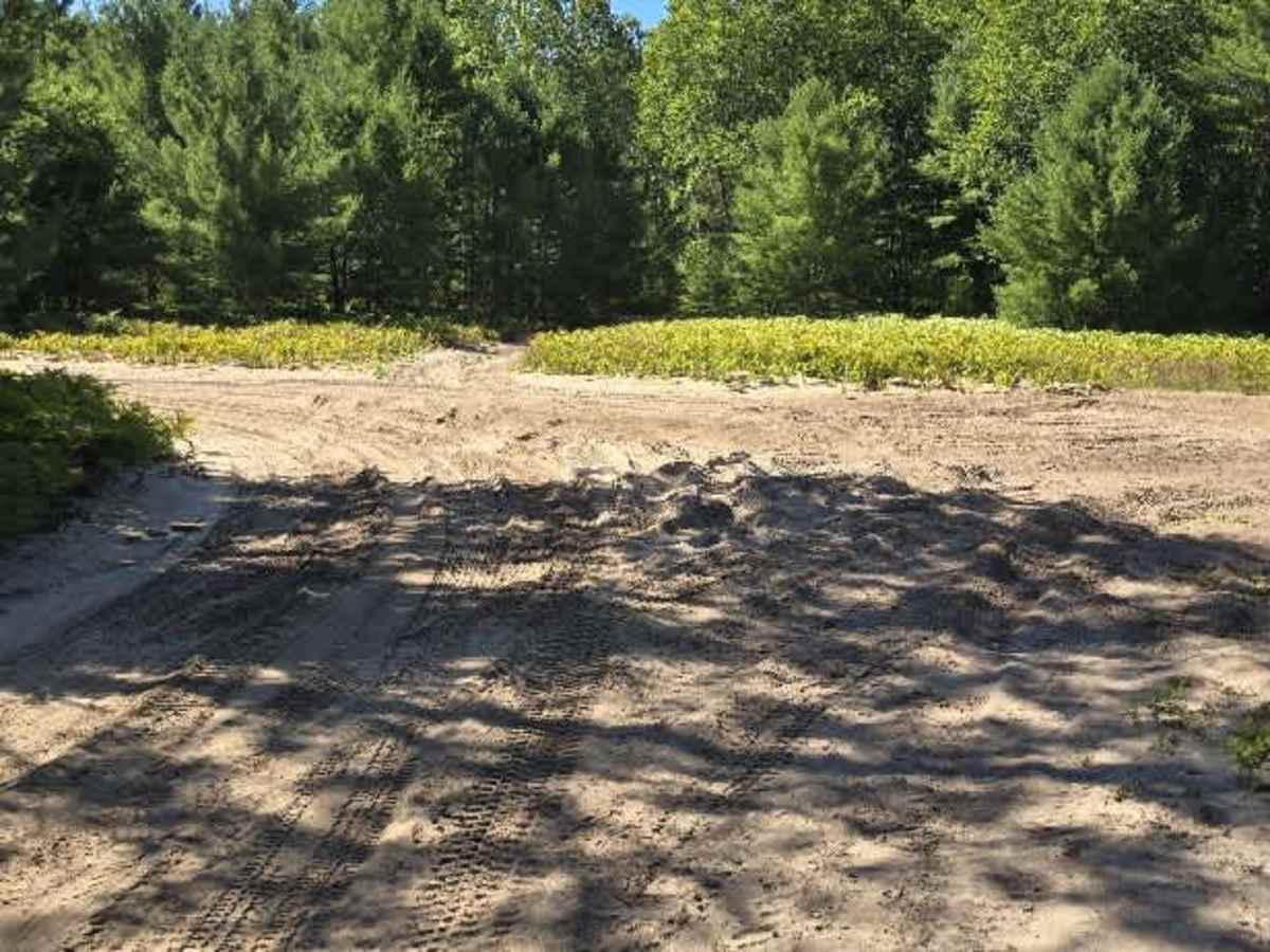 Beaver Dam Road photo 3