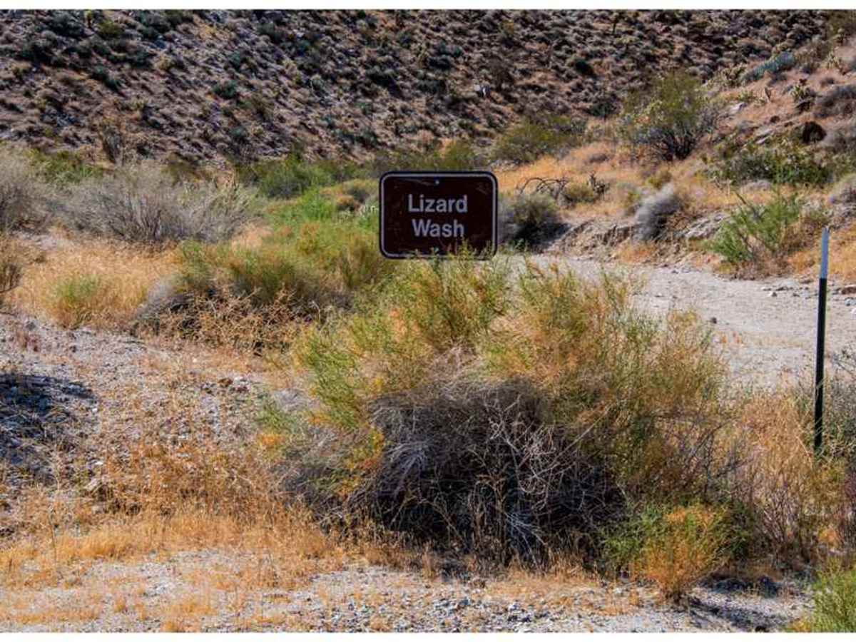 Lizard Canyon trail photo