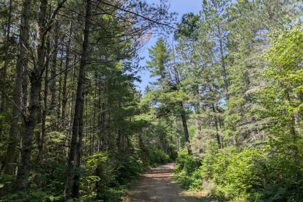 Trail 177E