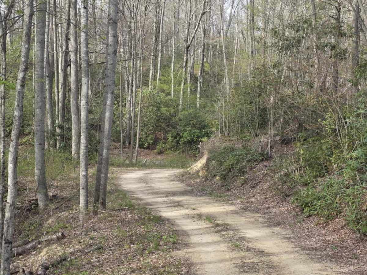 Little Pond Mountain photo 6