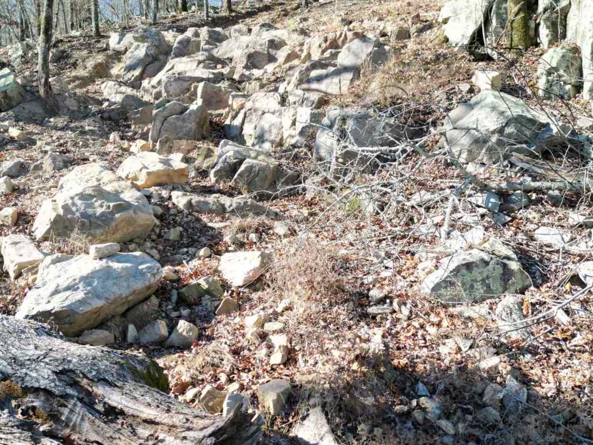 E28 Dozer Hill photo 4