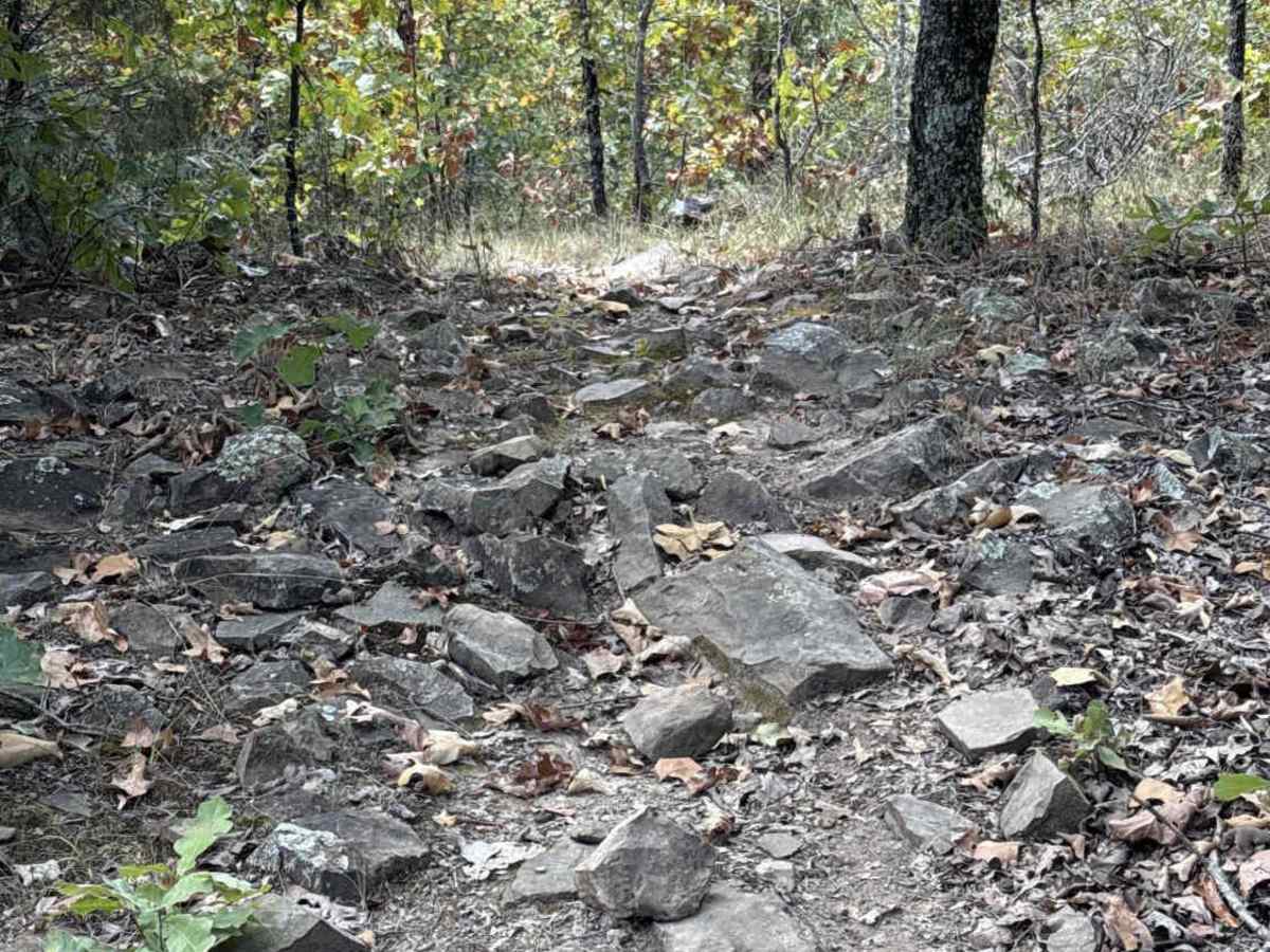 Koa Trail trail photo