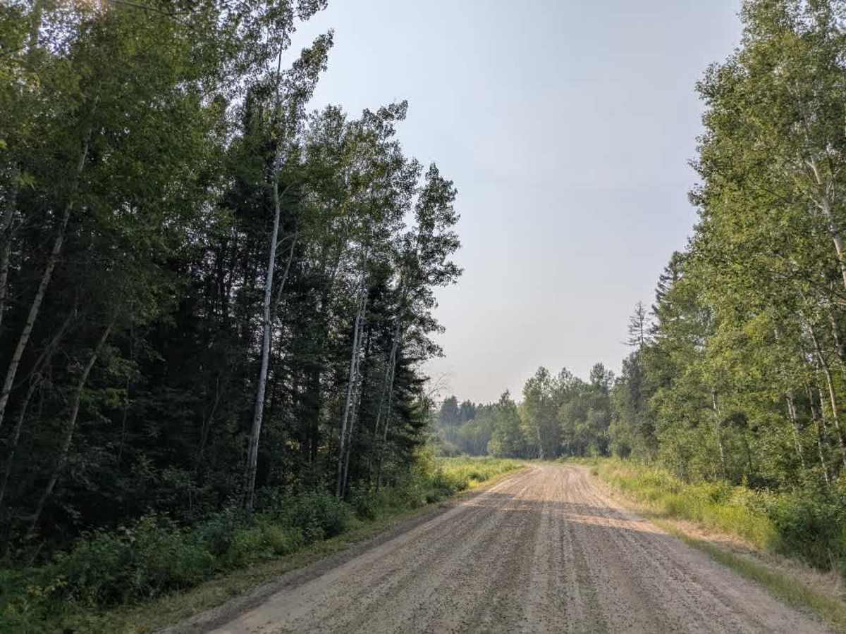 Niles Bay Forest Road trail photo
