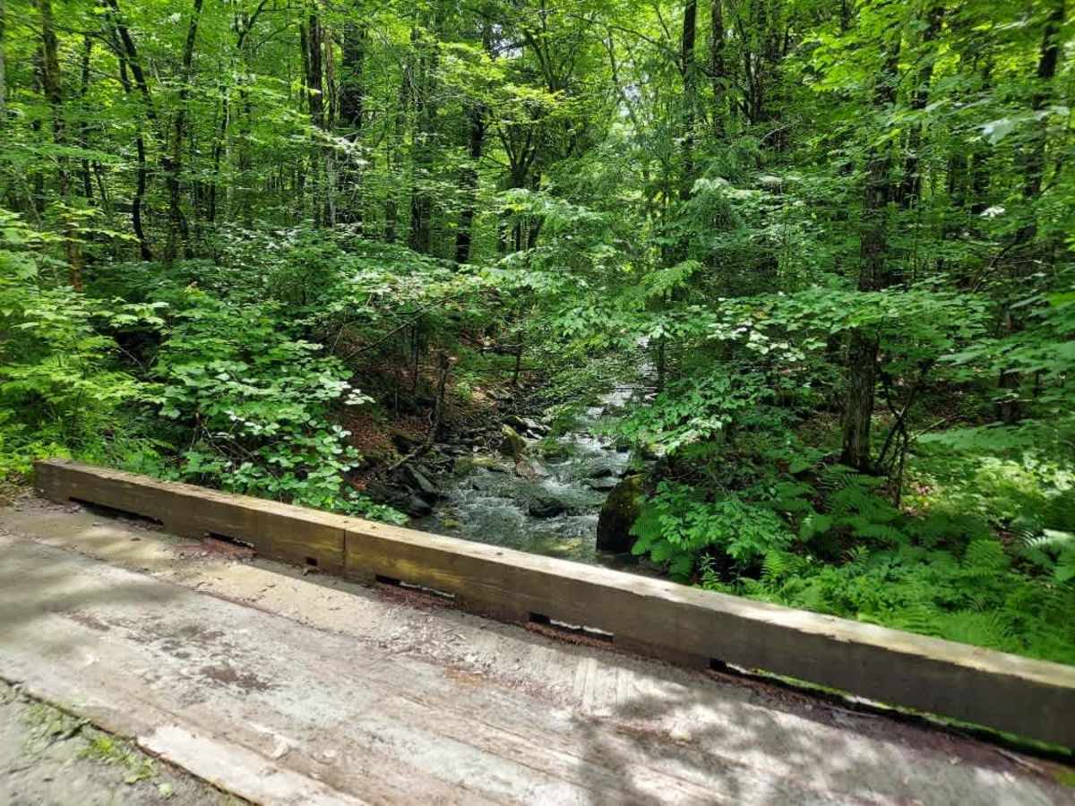 Coolidge State Forest Access Road photo 4