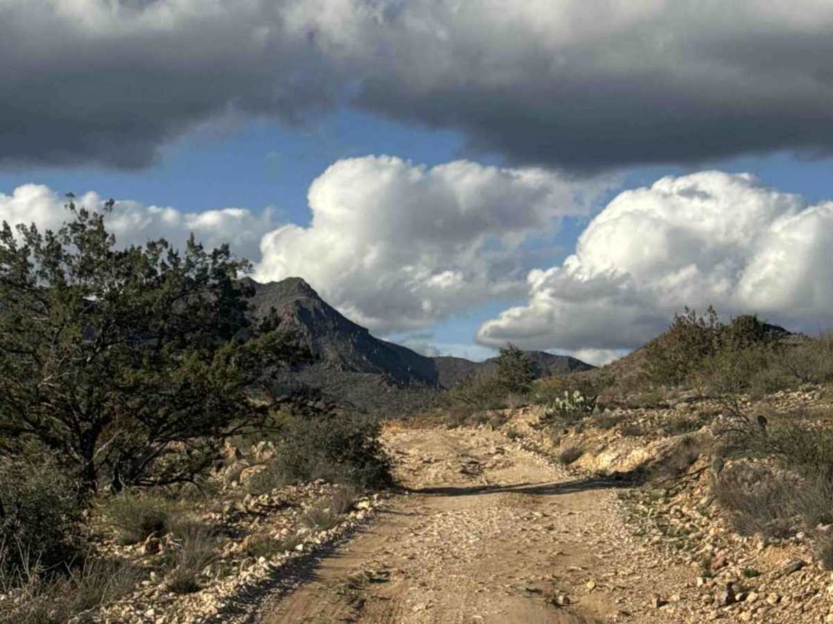 Hellgate Wilderness Trail trail photo