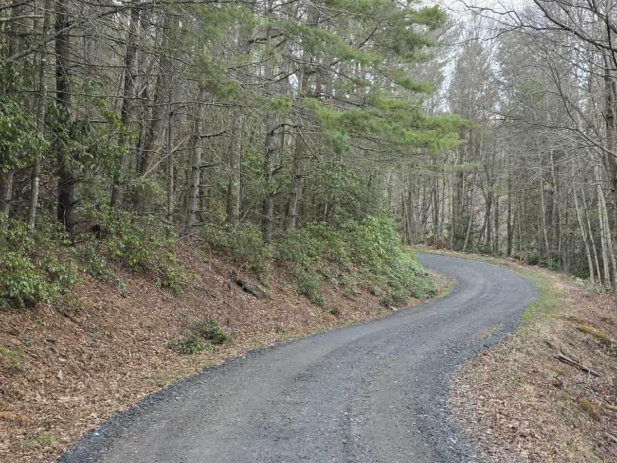 Flat Top Road photo 3