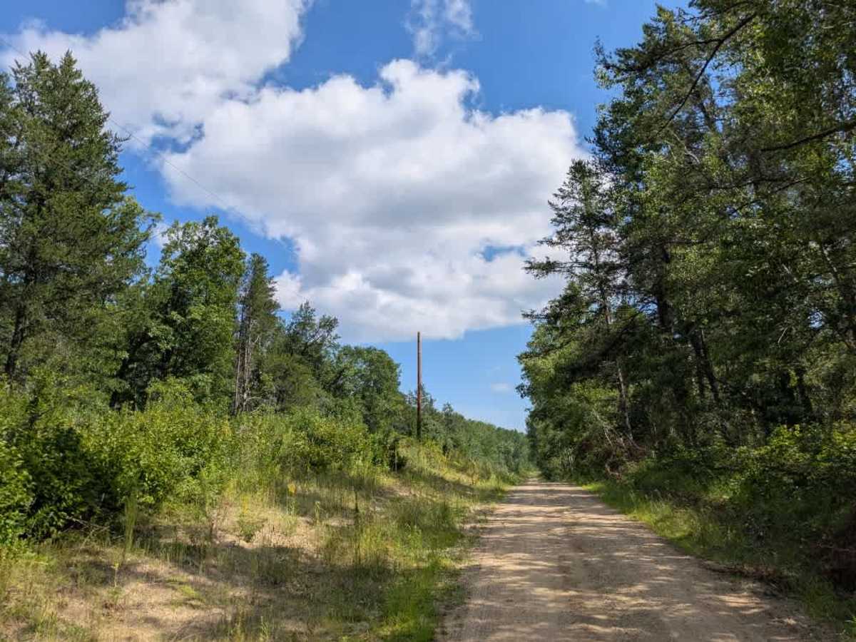 Cass River Road Southeast photo 2
