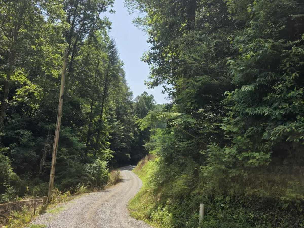 Cabbage Country Road photo 5