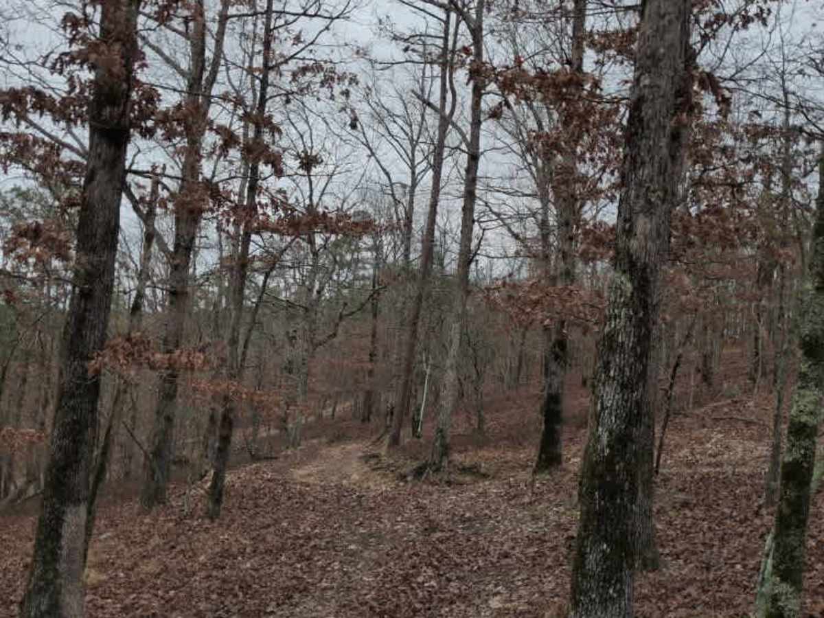 C12 The Zappasodi trail photo