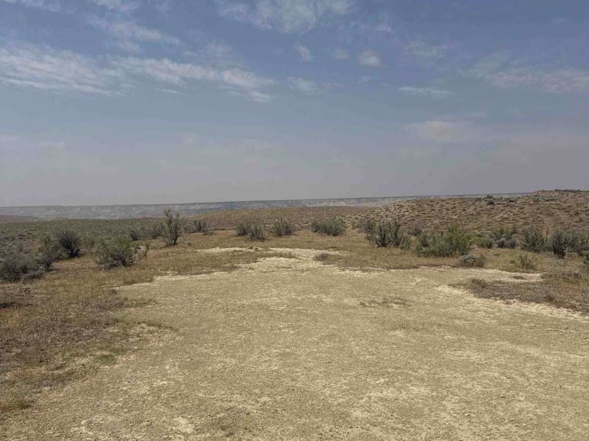 BLM 116 photo 5