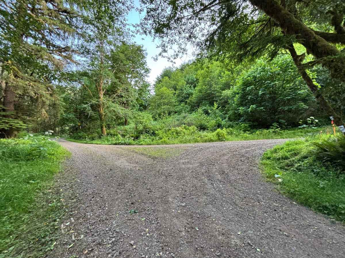 Miami River Forest Road photo 4