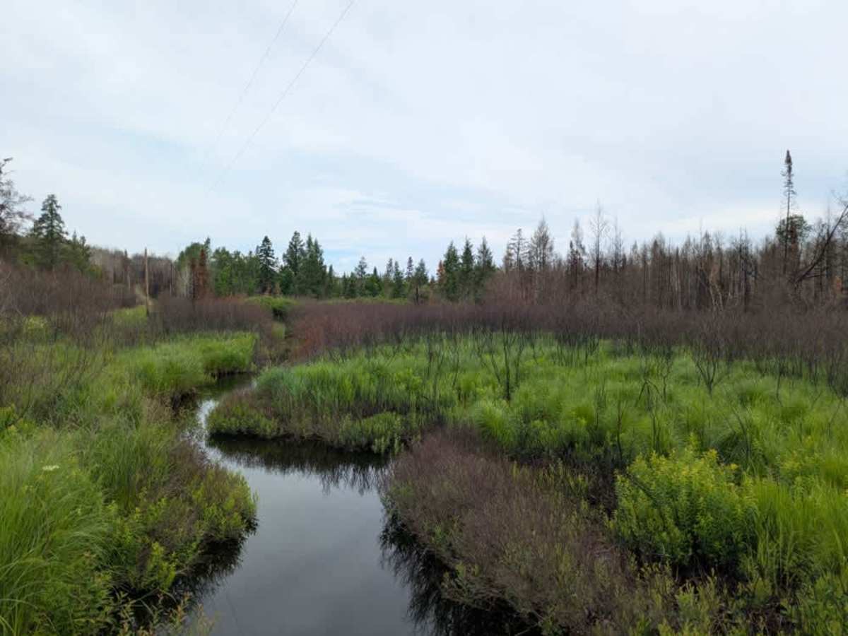 Hypo Creek  photo 4
