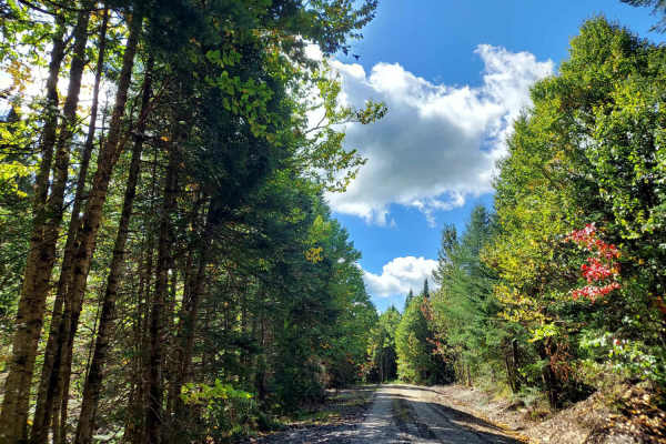 Ingersoll Brook Road
