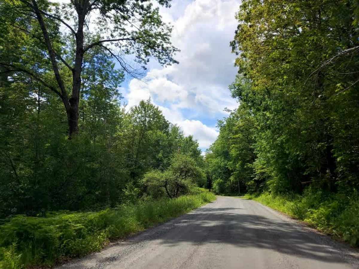 Curtis Hollow Road photo 2