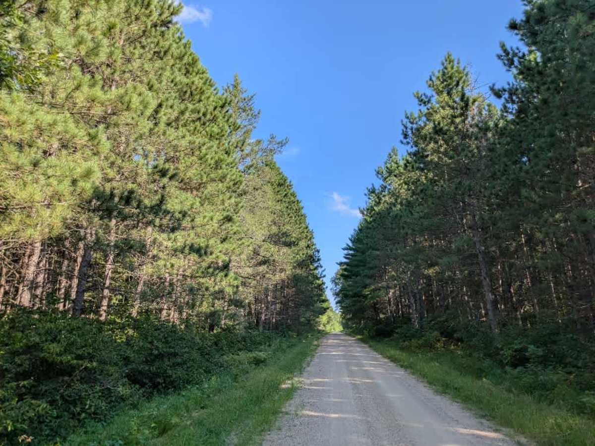 2958 trail photo