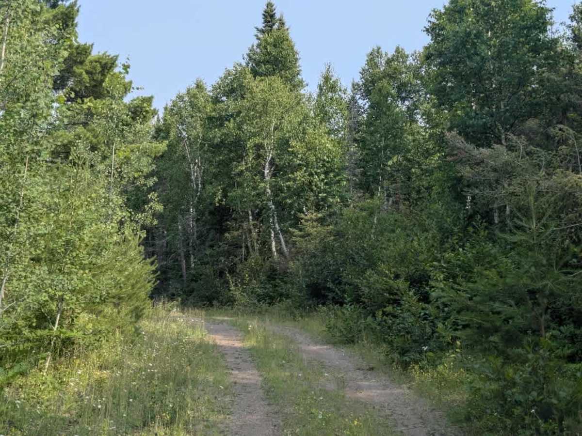 Folly Creek photo 5
