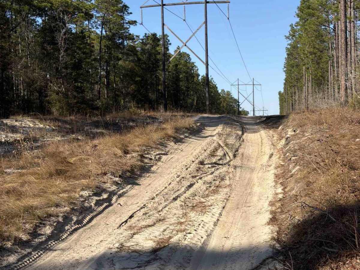 Springhill Cut-Off - FS 317 photo 3