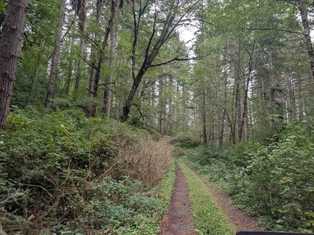 FS 3100126  trail photo