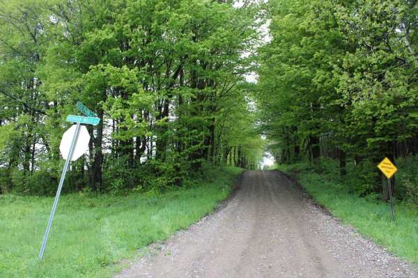 Dolphin Road
