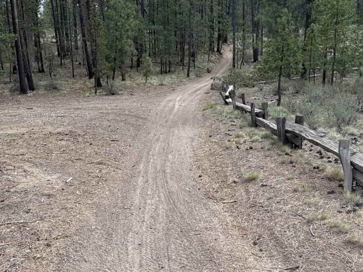 East Fort Rock - OHV Trail 9030 trail photo