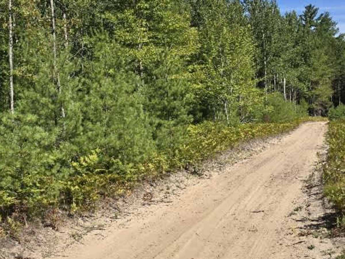 Beaver Dam Road photo 4