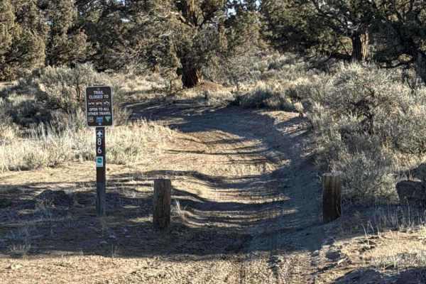 Millican Plateau OHV Trail 86